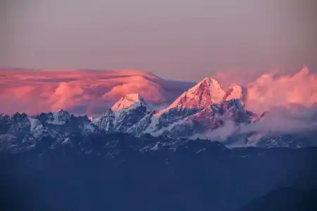 Bhangeri Durbar Resort - 13