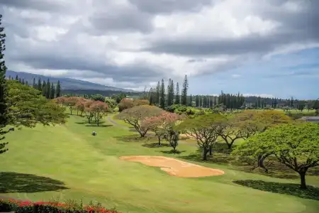 Kapalua Villas Maui - 307