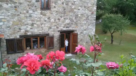 Colle Etrusco Salivolpi - 0