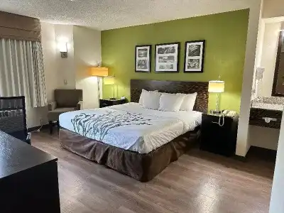 Sleep Inn & Suites Columbus - State University Area - 30