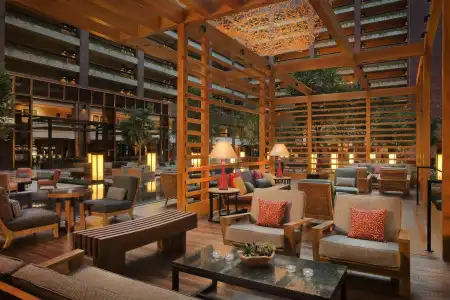 Hilton Anatole - 28