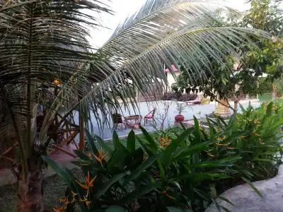 Bird of Paradise Bungalows - 8