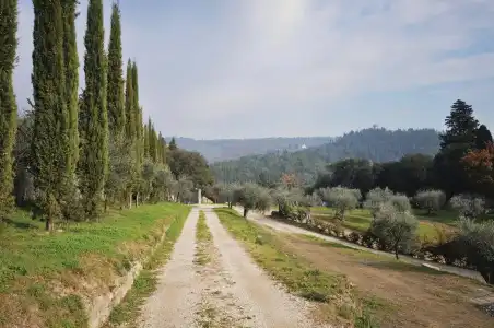 Fattoria di Maiano - 15