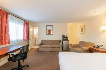 Senator Inn & Spa - 44