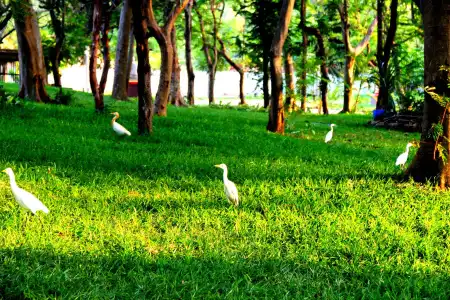 VGP Golden Beach Resort - 12