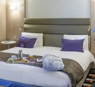 Mercure Grenoble Centre Porte des Alpes - 78
