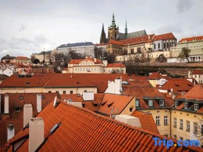 Augustine, Prague - 324