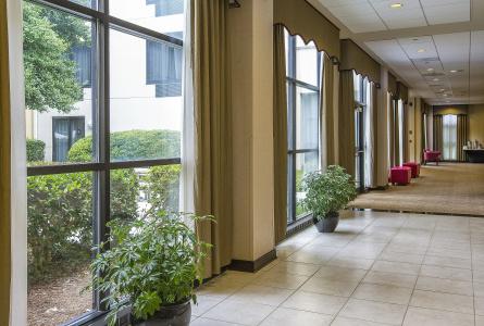 DoubleTree by Hilton Charlotte Airport - 11