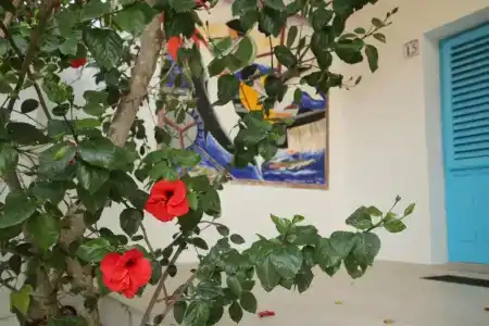 Antichi Mulini - 104