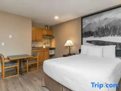 Quality Inn & Suites - 34