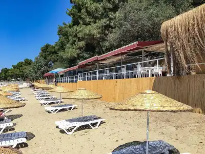 Troia Tusan - 14