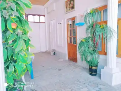 Ali Nur - 39
