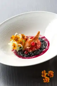 Héliopic Hôtel & Spa - 11