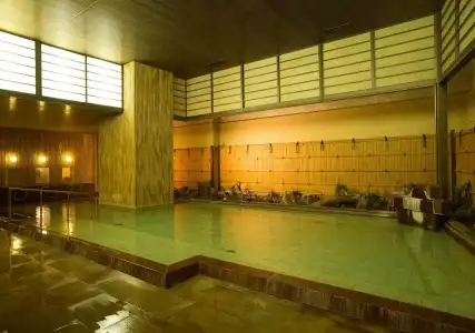 Atami New Fujiya - 10
