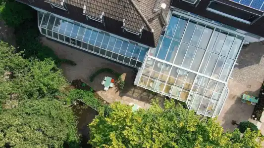 GartenFettehenne - 0