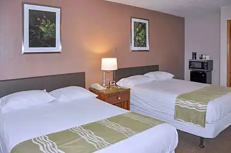Bison Inn & Suites on University - 43