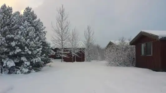 Gesthus - 58