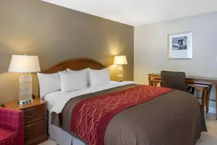 Rodeway Inn - 22