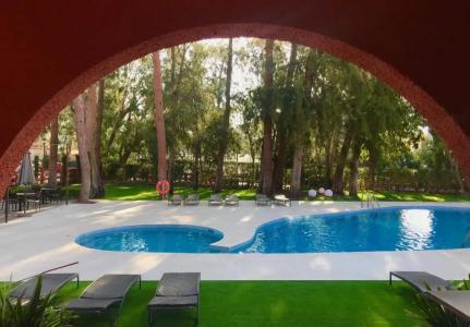 Intelier Bonaire - 13