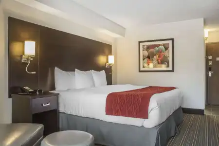 Comfort Inn Leamington - 6