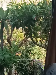 B&B Villa Lidia - 18
