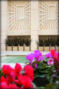 Regal Pacific Buenos Aires - 16