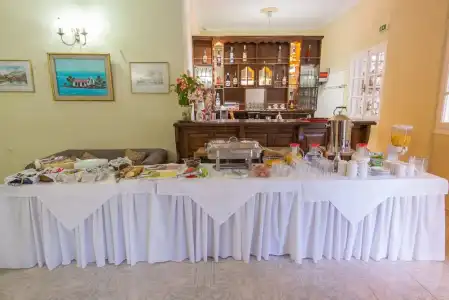 Olive Tree - 16