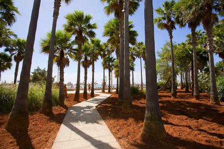 Hipotels Mediterraneo Club - 13