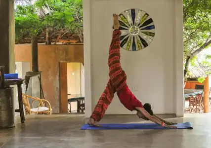 Back of beyond -  Wellness Retreat - 66