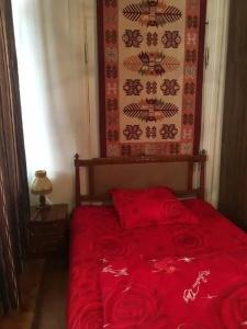 Nando Guest House - 20