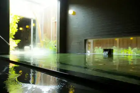 Garden Palace & Kansai Airport Spa - 14