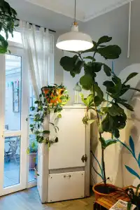 Tomato Backpackers - 33