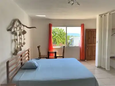 Corales Punta Rusia - 3
