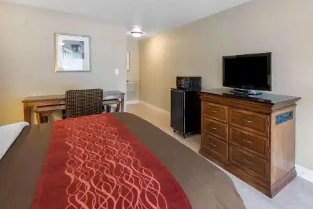 Rodeway Inn - 25