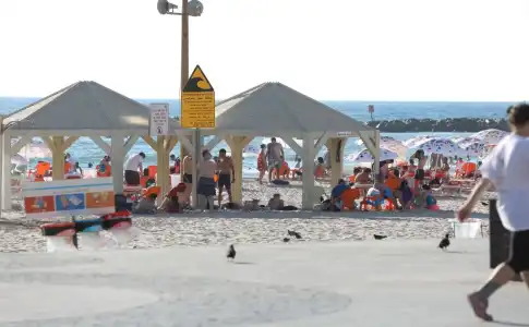 Miami Beach Tel Aviv - 26