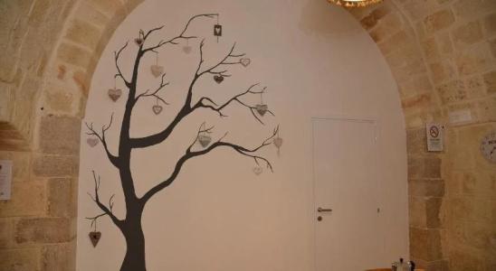 Cittadella28 Like at Home - 16