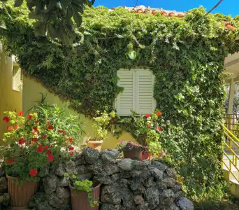 Villa Petro - 43