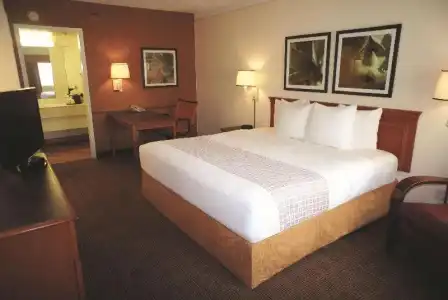 La Quinta Inn by Wyndham Austin Capitol / Downtown - 15