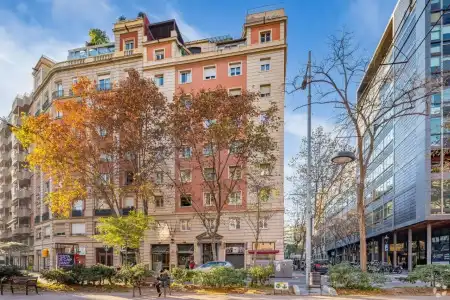 Casual Colours Barcelona - 0