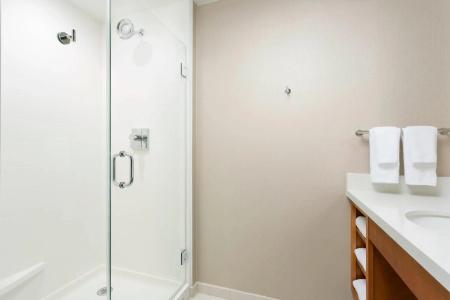 Springhill Suites San Diego Mission Valley - 41