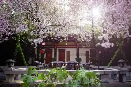 Tang Dynasty Art Garden - 25