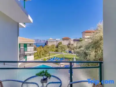 Vergina Star - 110