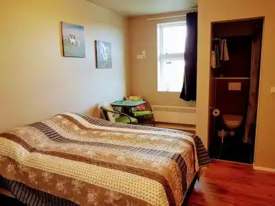 Skálatjörn Guesthouse - 46