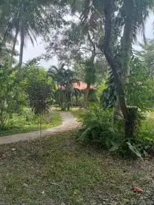 Ban Ban Bangalow - 12