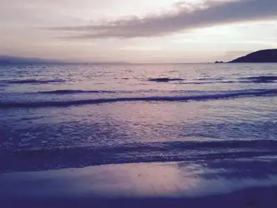 Marinaro - 13