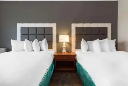 Best Western Erie Inn & Suites - 28