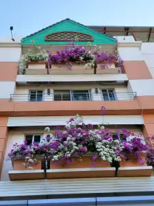 Sandy Serviced Apartment - 0