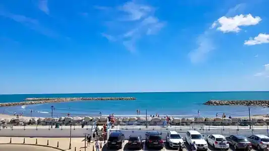 Hôtel Le Dauphin Bleu - 67