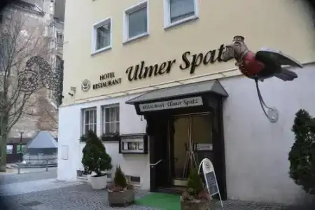 Ulmer Spatz - 22