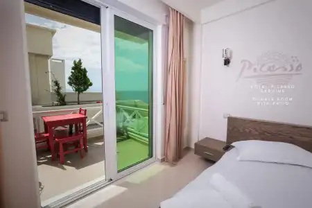 Picasso - 4